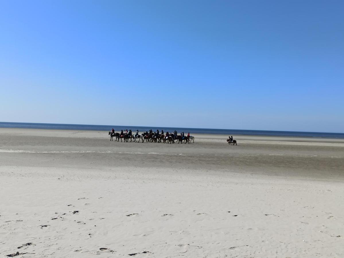 Gite Les Chalets Du Fliers Verton Meubles De Tourisme Classes 2 Etoiles Berck エクステリア 写真
