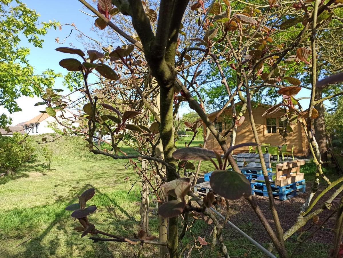 Gite Les Chalets Du Fliers Verton Meubles De Tourisme Classes 2 Etoiles Berck エクステリア 写真