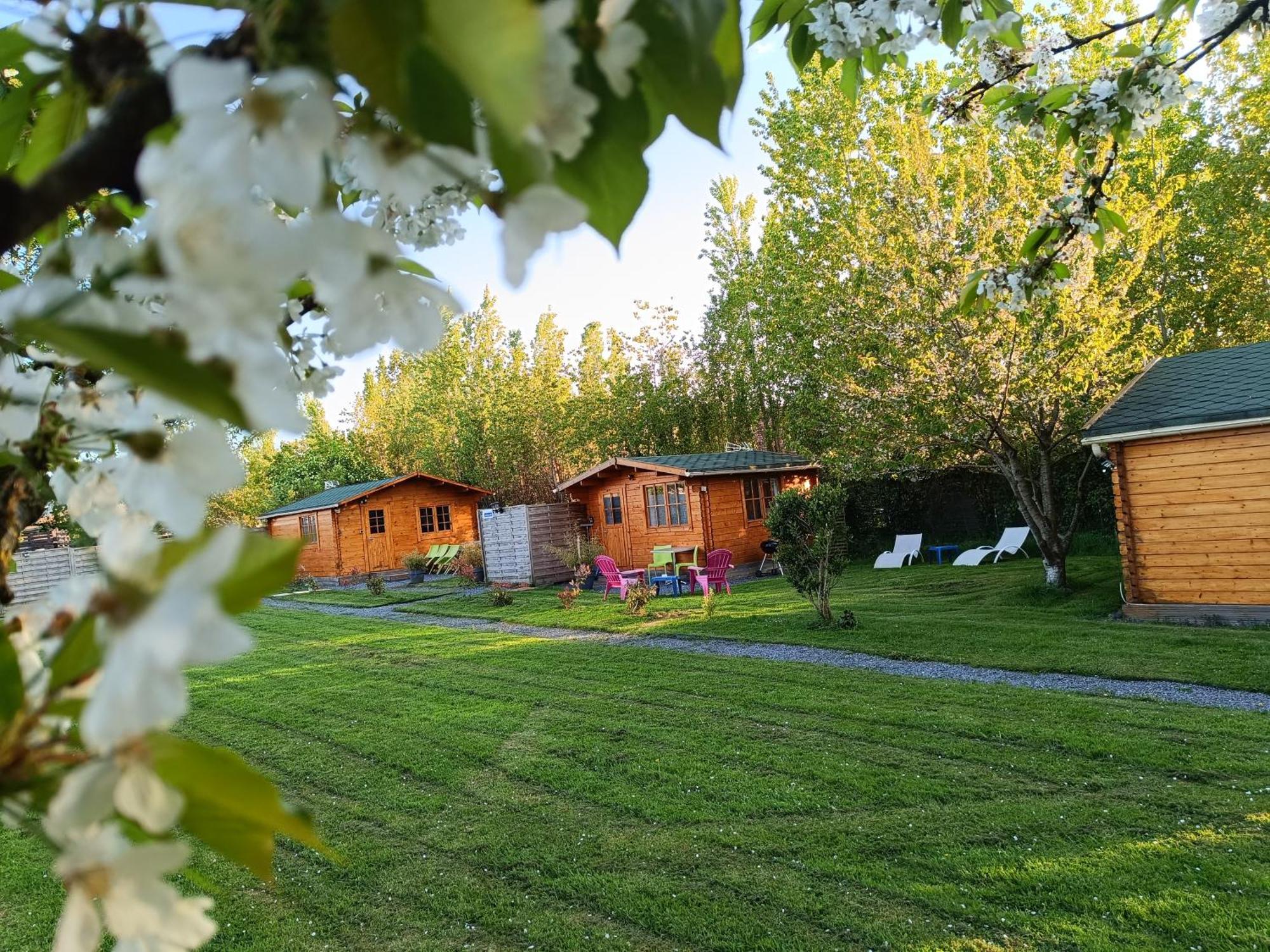Gite Les Chalets Du Fliers Verton Meubles De Tourisme Classes 2 Etoiles Berck 部屋 写真